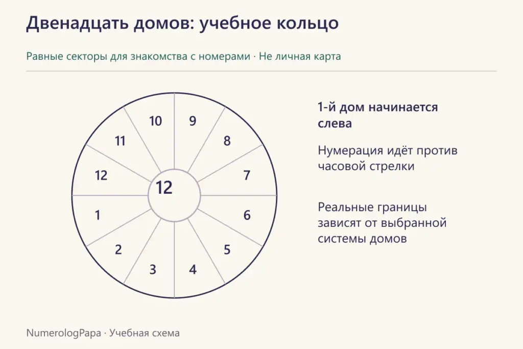 Учебный круг с двенадцатью одинаковыми секторами и номерами домов.