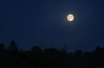 Полная Луна над деревьями и крышей дома